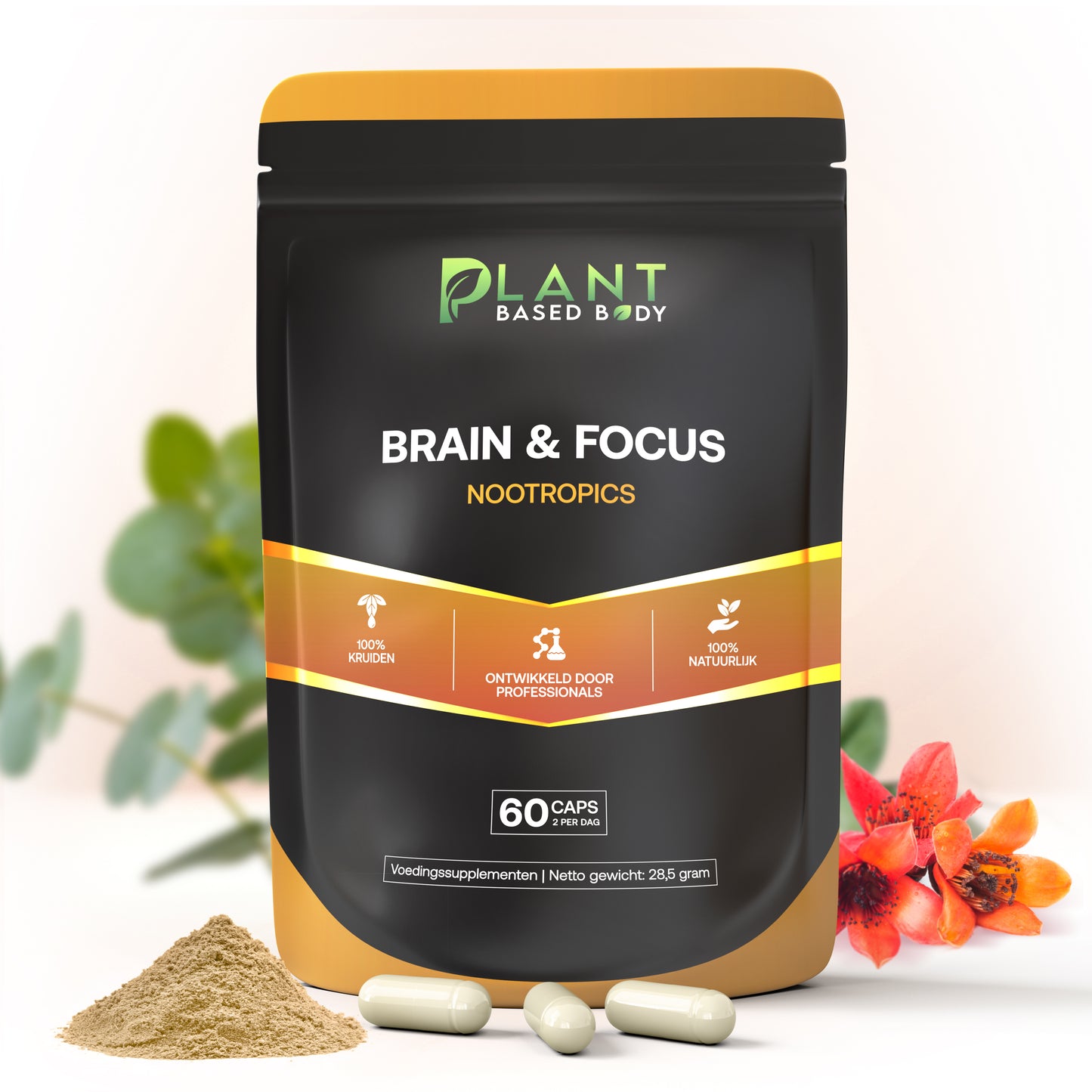 Brain & Focus - Nootropics β ConcentraBepillen voor studeren en werk β 60 capsules