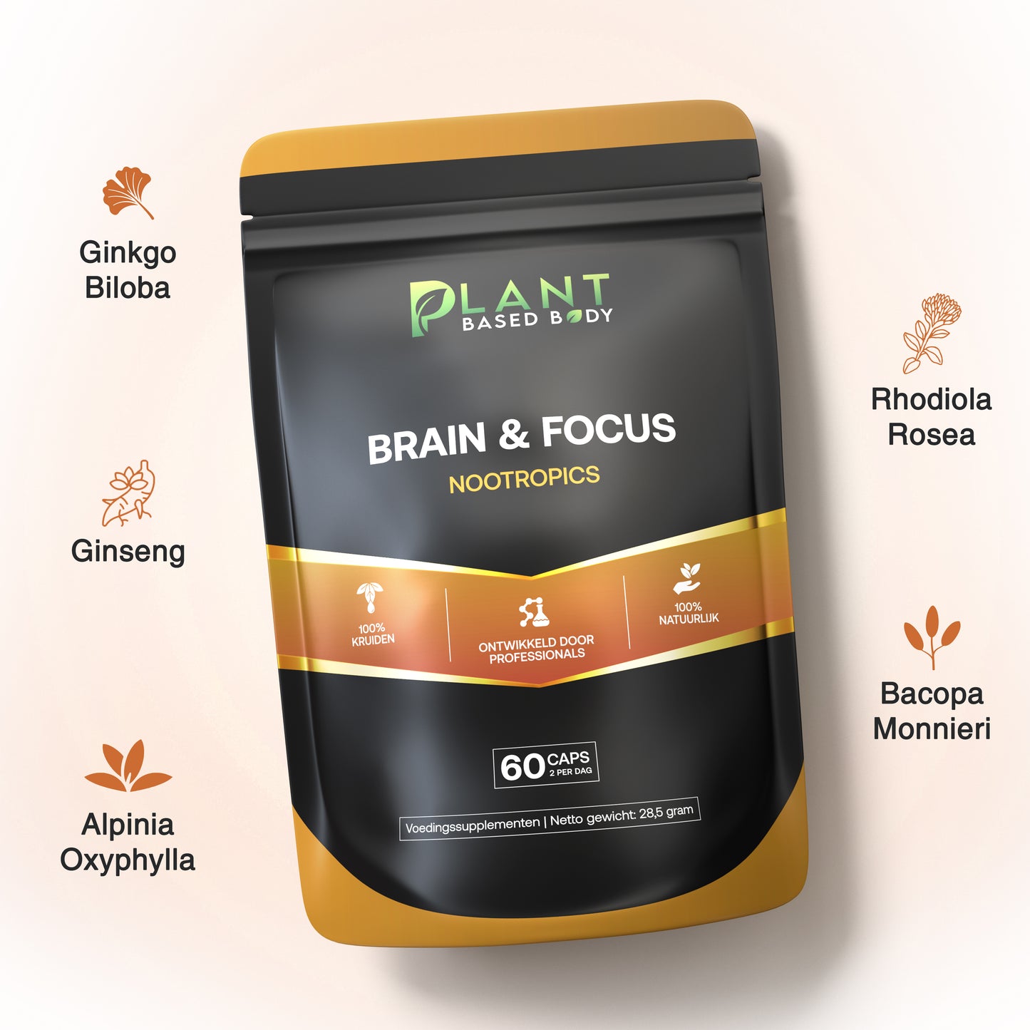 Brain & Focus - Nootropics β ConcentraBepillen voor studeren en werk β 60 capsules