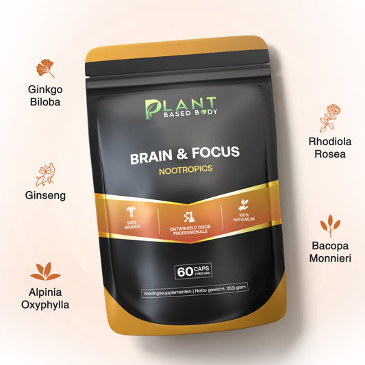 Brain & Focus - Nootropics – ConcentraBepillen voor studeren en werk – 60 capsules