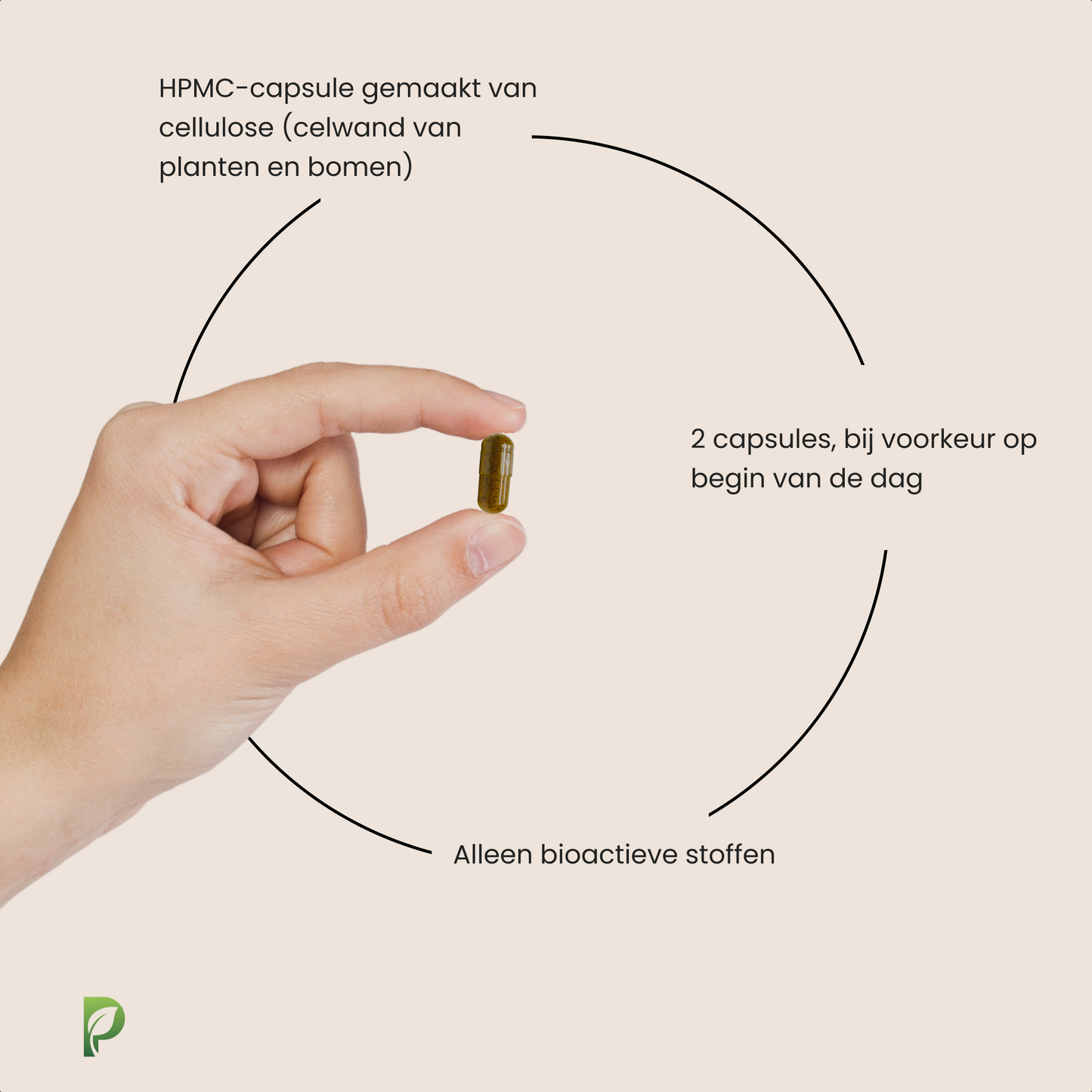Gut Cleanse β Darm Detox voor natuurlijke darmreiniging β 60 capsules